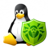 Dr.Web для Linux 11.0.5 ручной режим перенаправления соединений для SpIDer Gate - last post by Igorn