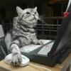 Стандарт и график работы технической поддержки - last post by mike 1