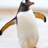 Does Dr Web work with Ubuntu AppArmor? - last post by Linux4Penguins